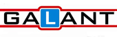 Logo prawo jazdy GALANT
